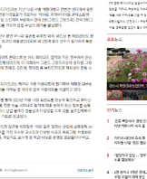 국제바디아트 콘테스트 석권!