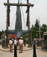 2013년 일본 SAP 2