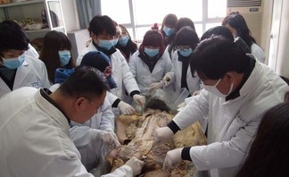 2011년 해부학연수